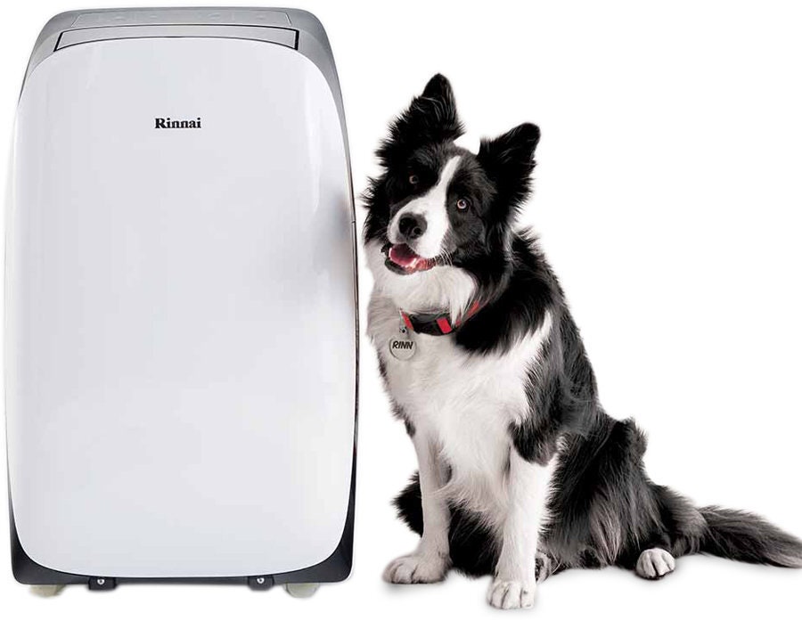 Rinnai 4.1kW Cooling Only Portable Air Conditioner RPC41WA | Winning  Appliances