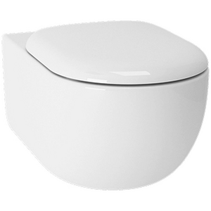 Toto Hayon Wall Hung Toilet CW253JT1WS-TC252SJ