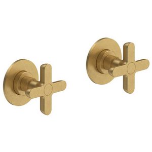 Fantini Icona Classic Wall Top Assembly - Pure Brass PVD 53Q7R075B-4400R011A