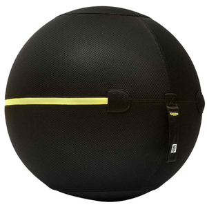 Techno Gym Ball Wellness Ball Technogym Appliances Winning Appliances