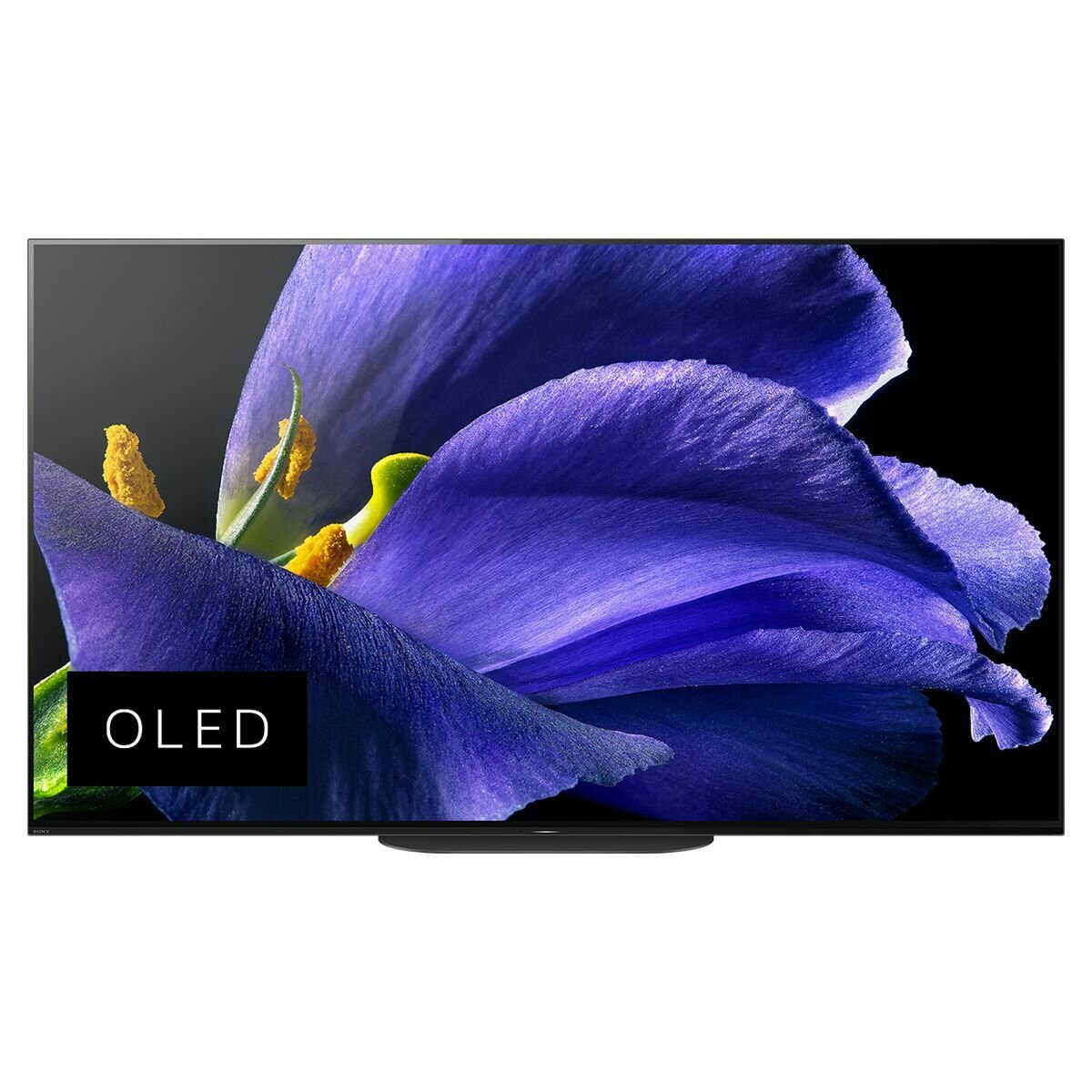 Sony 55 Inch A9G 4K UHD HDR Smart Android OLED TV - KD55A9G | Winning  Appliances
