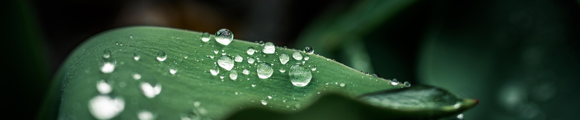 Protecting What Matters