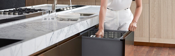 Brand Page - F&P - Category - Dishwashing Desktop Image - 740x240