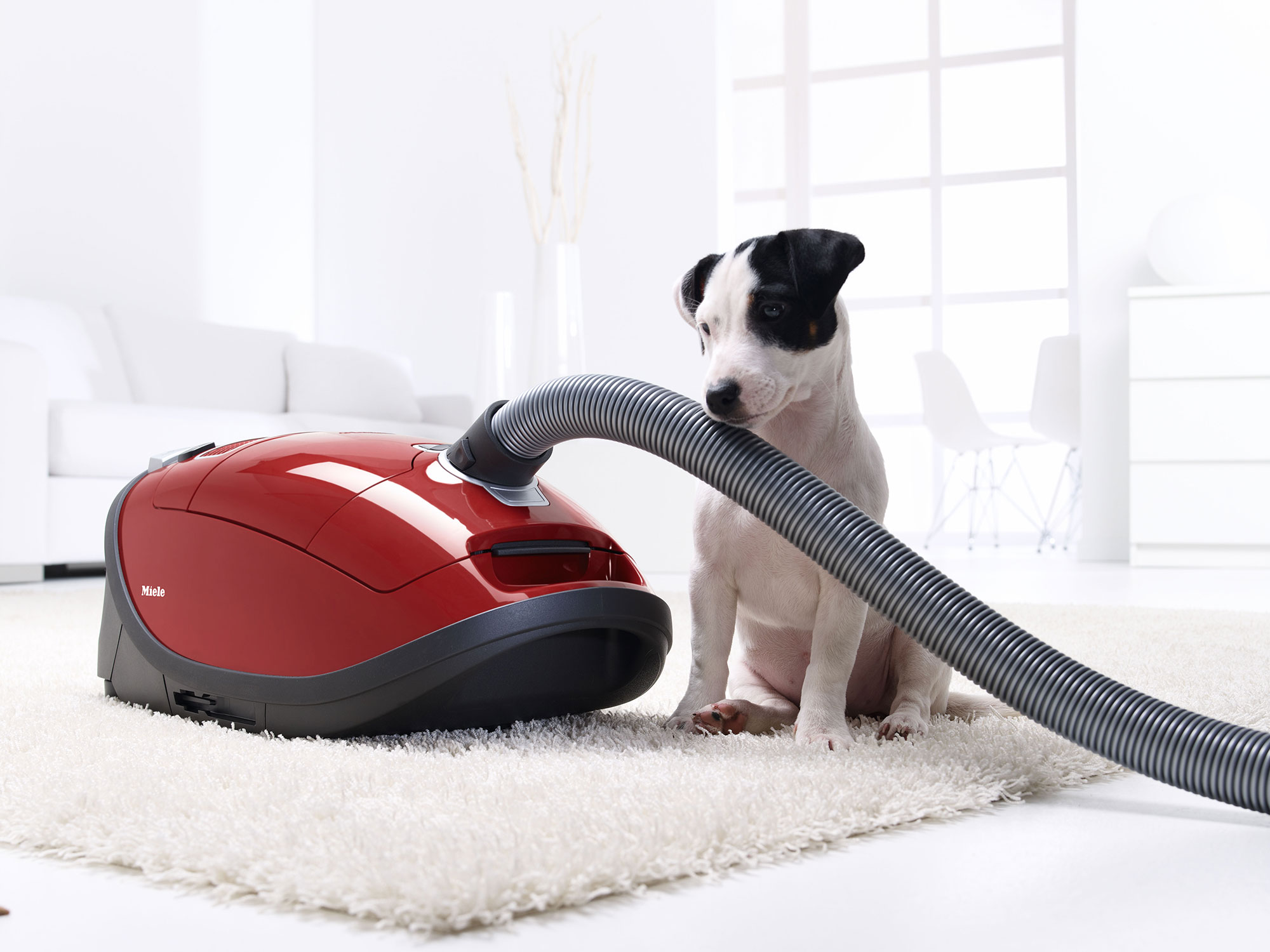 2017 Canstar Blue Award for Vacuum Cleaner