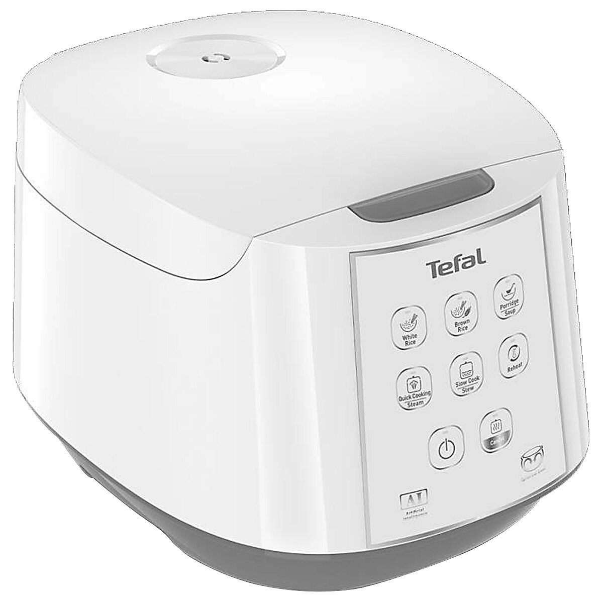 tefal sv8013
